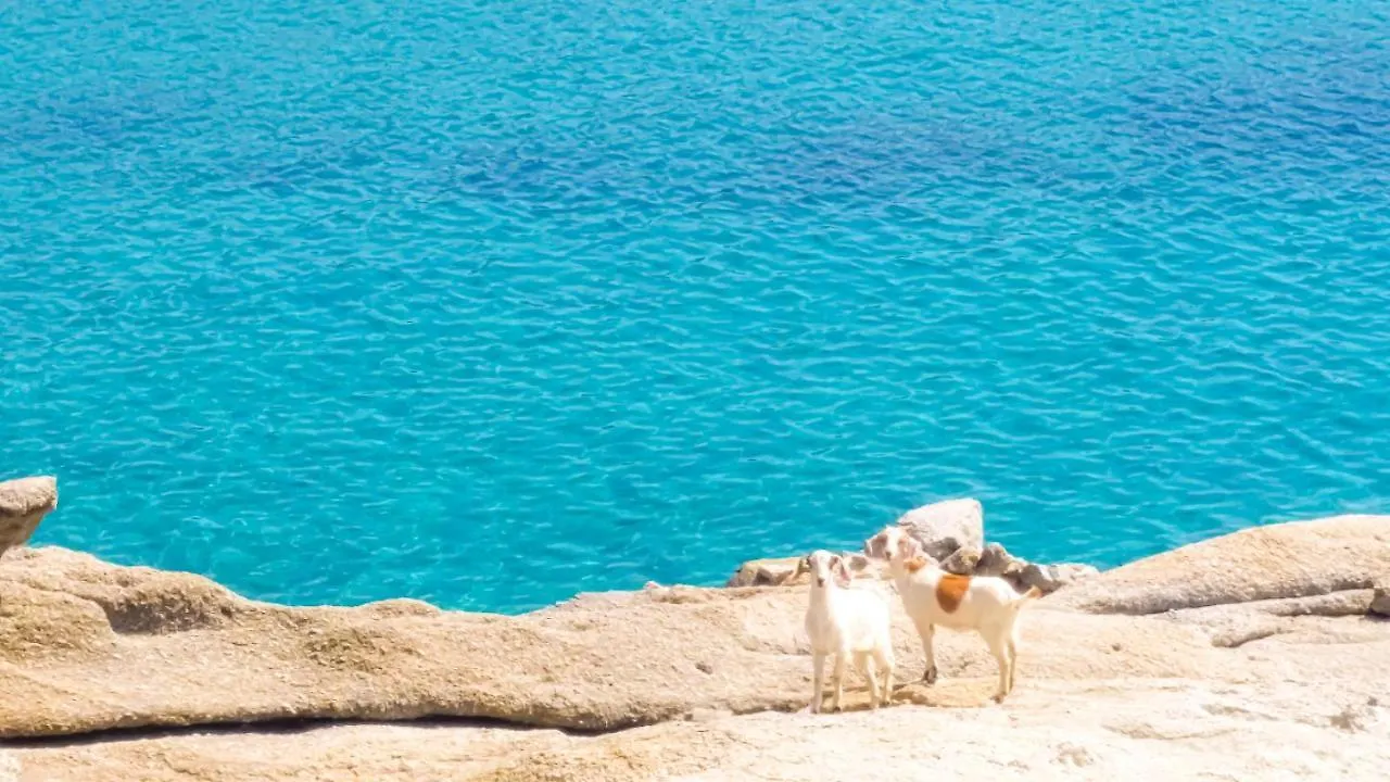 Sunny Getaway In Lia Mykonos Villa Kalafati 0*,  Grekland